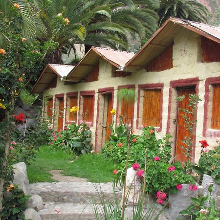 Paraiso Las Palmeras Lodge Cabanaconde Exteriér fotografie