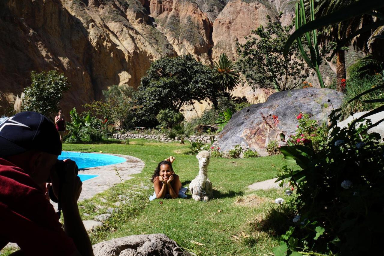 Paraiso Las Palmeras Lodge Cabanaconde Exteriér fotografie