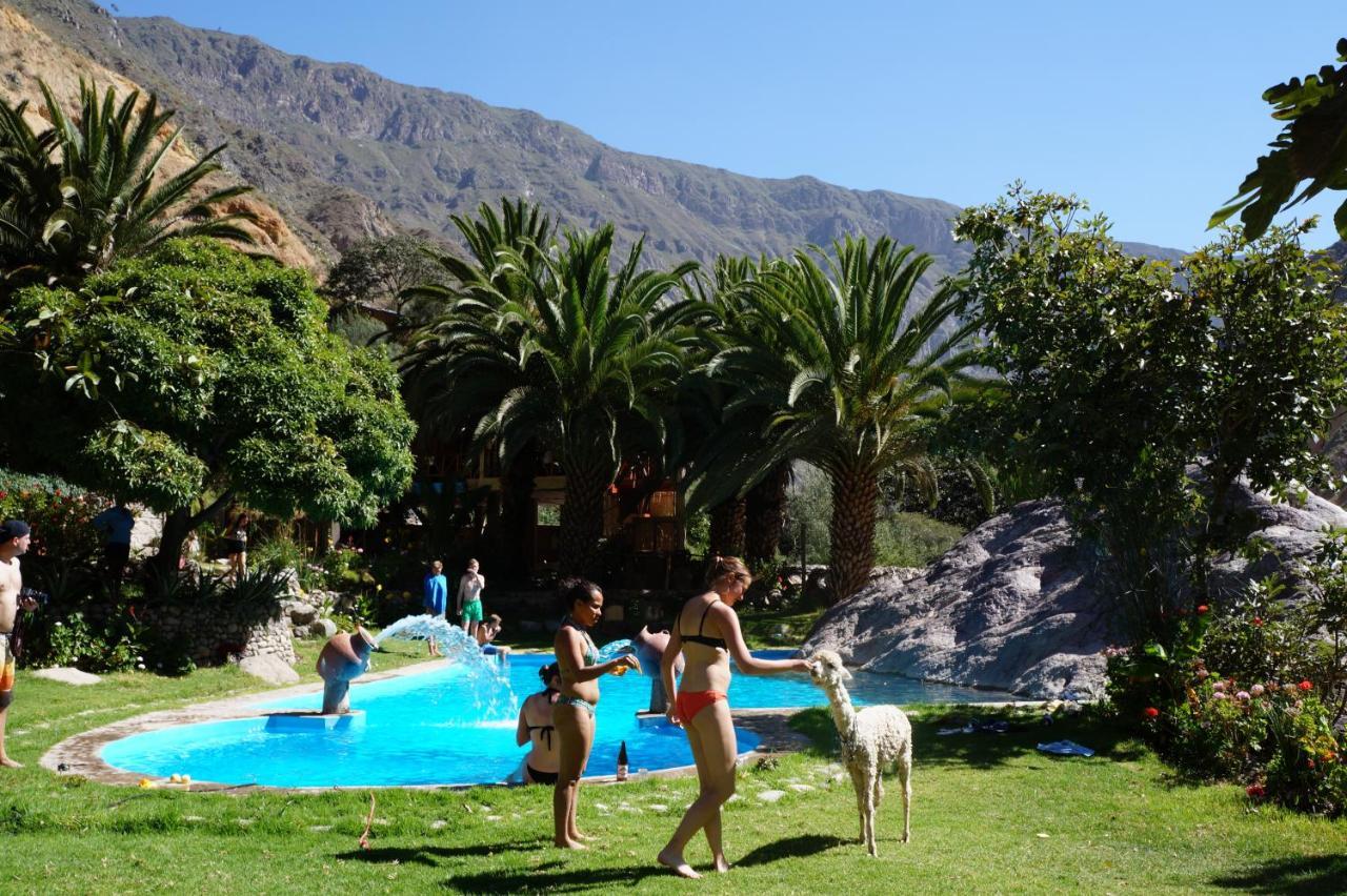 Paraiso Las Palmeras Lodge Cabanaconde Exteriér fotografie