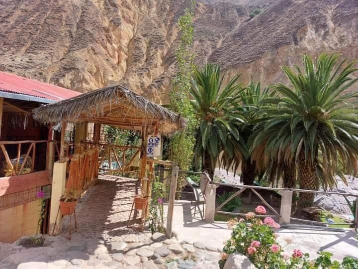 Paraiso Las Palmeras Lodge Cabanaconde Exteriér fotografie